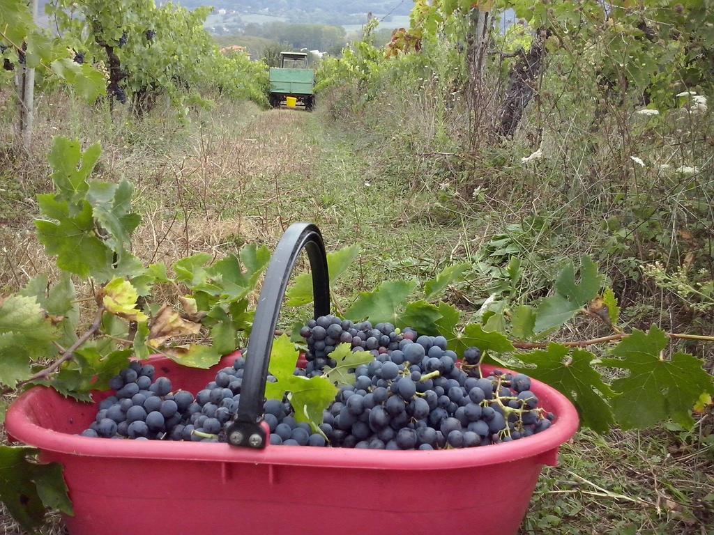 Agriturismo La Querce Риньяно-суль-Арно Номер фото