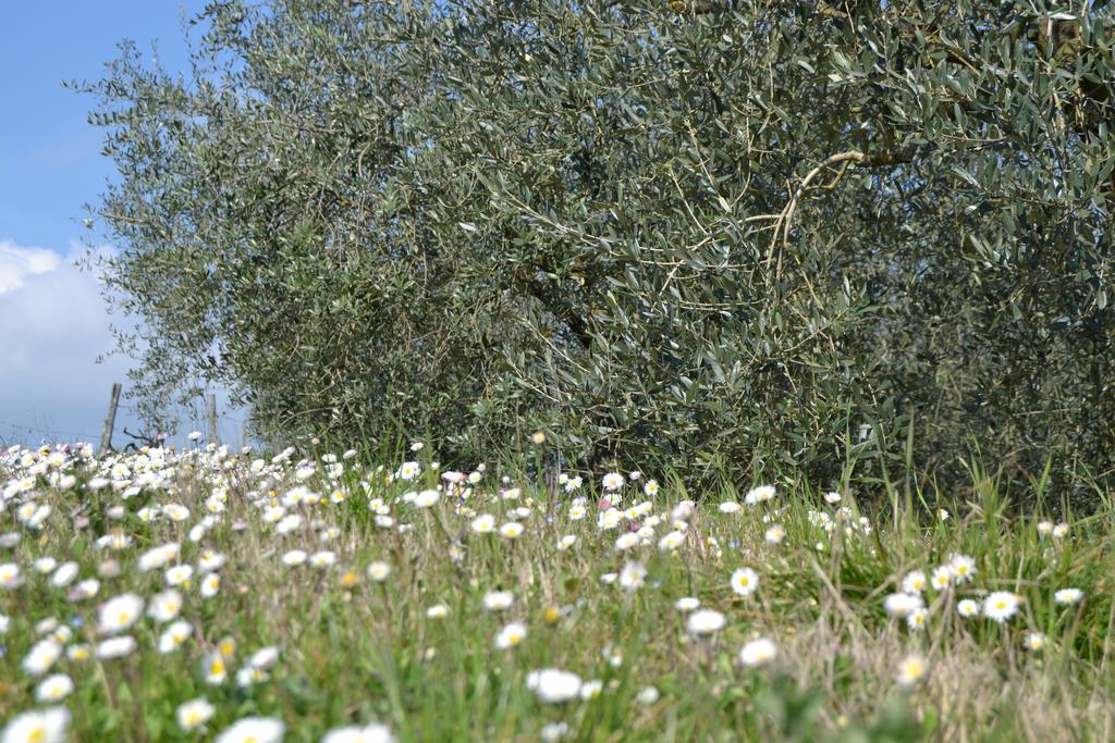 Agriturismo La Querce Риньяно-суль-Арно Экстерьер фото