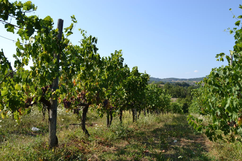 Agriturismo La Querce Риньяно-суль-Арно Экстерьер фото