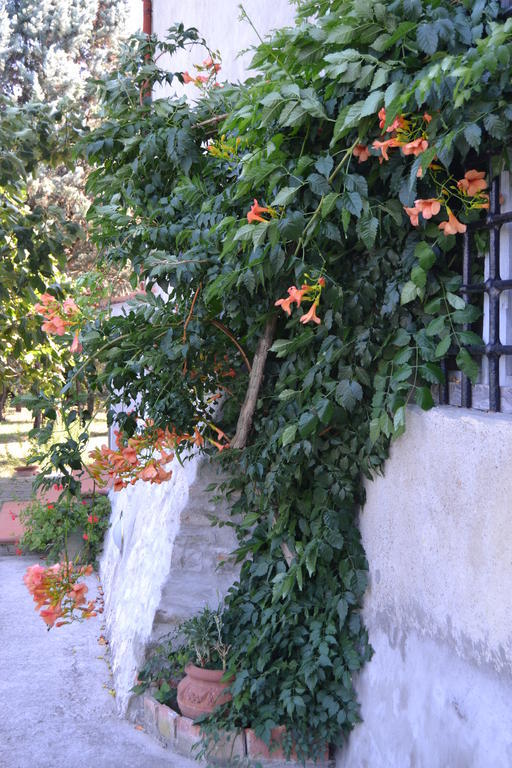 Agriturismo La Querce Риньяно-суль-Арно Экстерьер фото